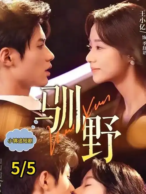 长街灯火热播电视剧全集免费观看